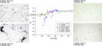 Processing characteristics and parameters in capacitor discharge sintering